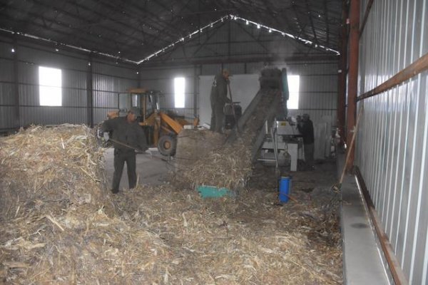 生物質(zhì)秸稈顆粒燃料