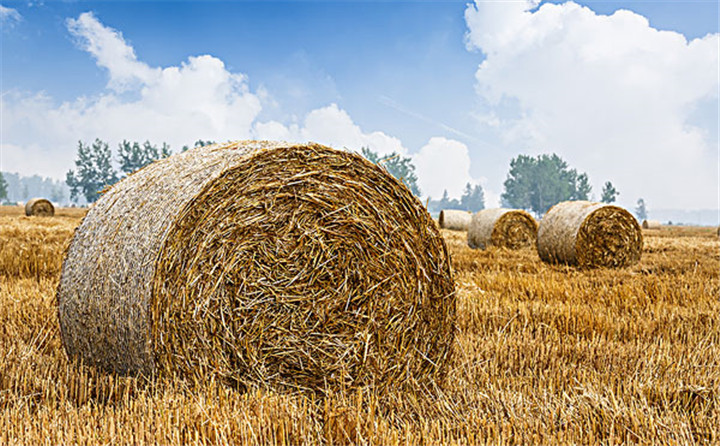  每一臺(tái)穩(wěn)定可靠的玉米秸稈顆粒機(jī)背后，是一個(gè)優(yōu)秀負(fù)責(zé)任的顆粒機(jī)廠家！