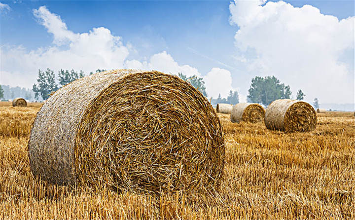 玉米秸稈顆粒機(jī)的壓縮，天然就能成型，而起會(huì)很結(jié)實(shí)