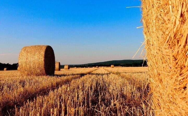 支持生物質能取暖，補貼爐具2000元、燃料600元/噸