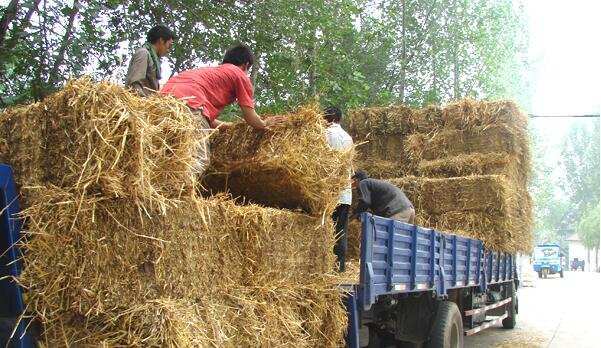 每年秋收過后，到轉(zhuǎn)年春耕，是秸稈處理的關(guān)鍵期