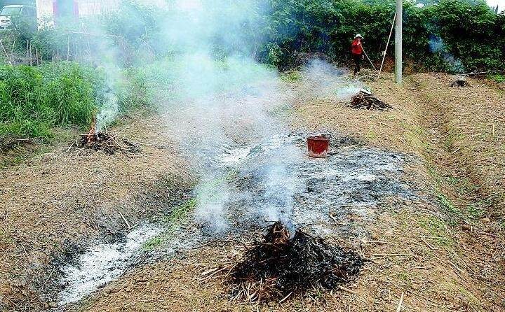 焚燒農(nóng)作物秸稈