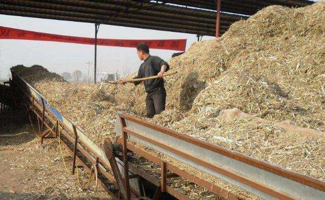 蕪湖大力推進(jìn)秸稈能源化利用 蕪湖大力推進(jìn)秸稈能源化利用