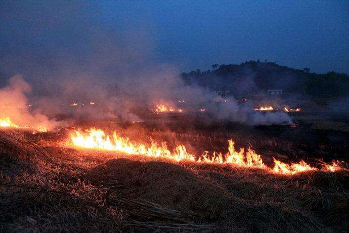 農(nóng)民晚上偷燒秸稈 農(nóng)民晚上偷燒秸稈