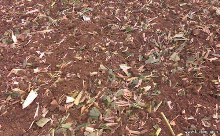 秸稈還田 秸稈還田