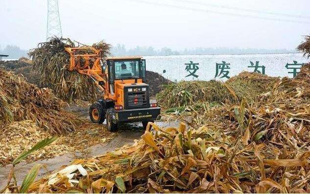 黑土地上的‘秸稈經(jīng)紀人’要讓秸稈牛起來，變成‘寶’