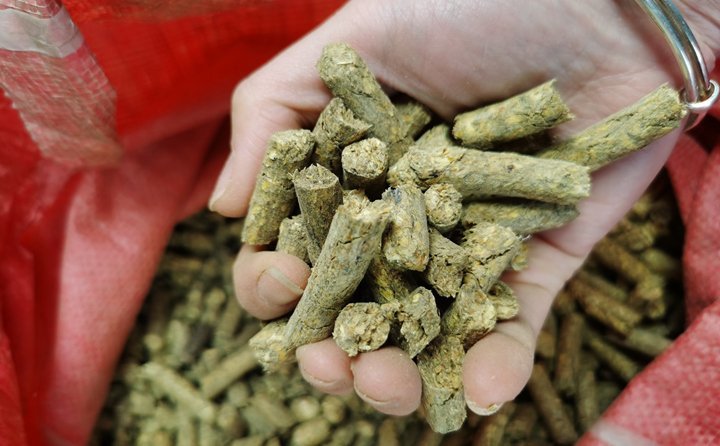 “小秸稈變身大能源?！痹擁椖客顿Y方負責人說，以往分散鍋爐房供熱成本高，供熱質(zhì)量不理想。如今，由生物質(zhì)發(fā)電的余熱供暖，熱效率達到80%以上，既可緩解煤炭短缺情況，又推動清潔供熱，為“碳達峰”“碳中和”目標實現(xiàn)貢獻力量