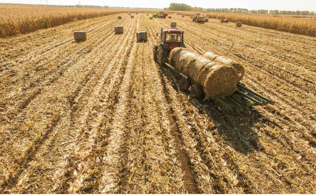 江西省永修縣投入408萬元專項資金用于秸稈項目