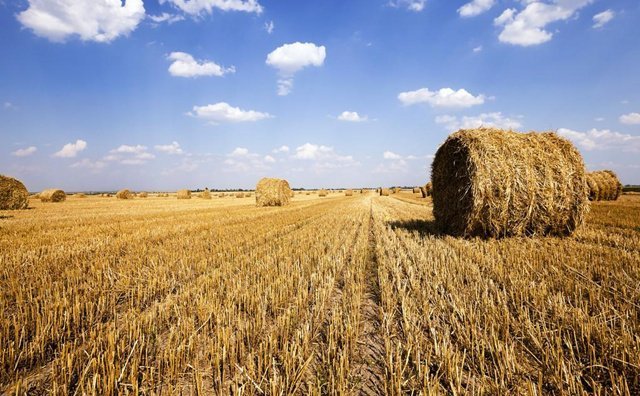 夏石鎮(zhèn)：秸稈回收再利用 增收環(huán)保兩不誤