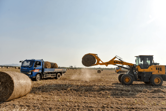 油菜秸稈綜合利用