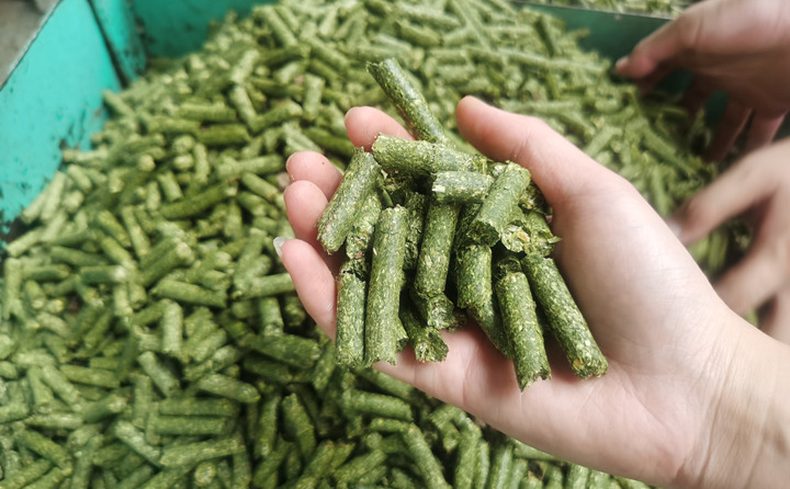 秸稈顆粒機(jī)加工的牧草顆粒 